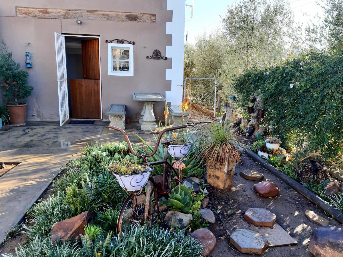 Carmel Villa B&B Or Self-Catering Calvinia ภายนอก รูปภาพ